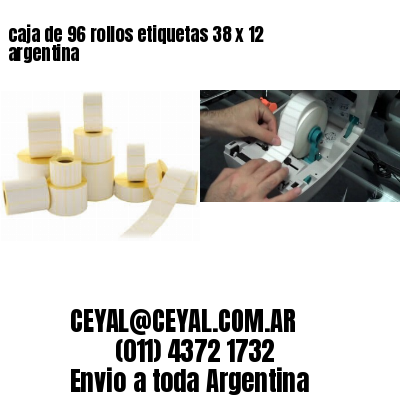 caja de 96 rollos etiquetas 38 x 12 argentina