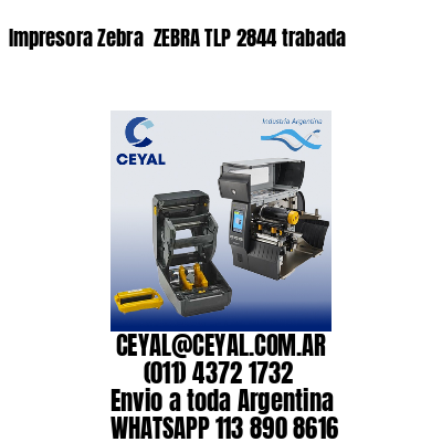 Impresora Zebra  ZEBRA TLP 2844 trabada