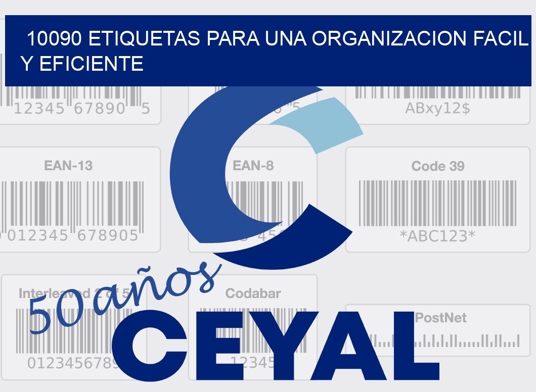 10090 ETIQUETAS PARA UNA ORGANIZACION FACIL Y EFICIENTE