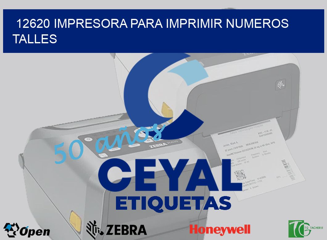 12620 IMPRESORA PARA IMPRIMIR NUMEROS TALLES