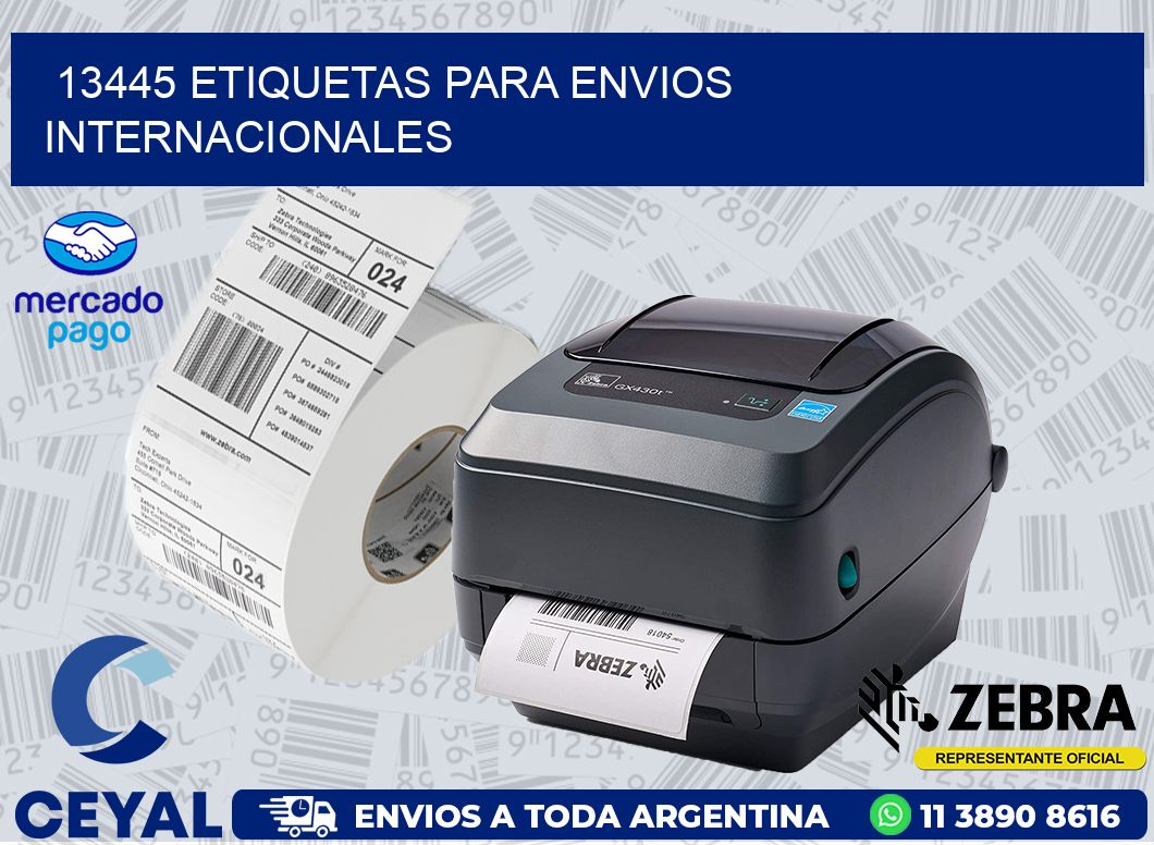 13445 ETIQUETAS PARA ENVIOS INTERNACIONALES