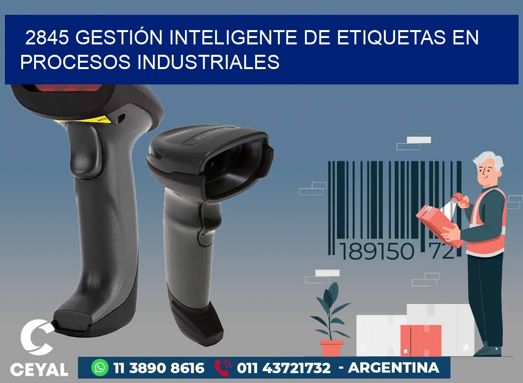 2845 GESTIÓN INTELIGENTE DE ETIQUETAS EN PROCESOS INDUSTRIALES