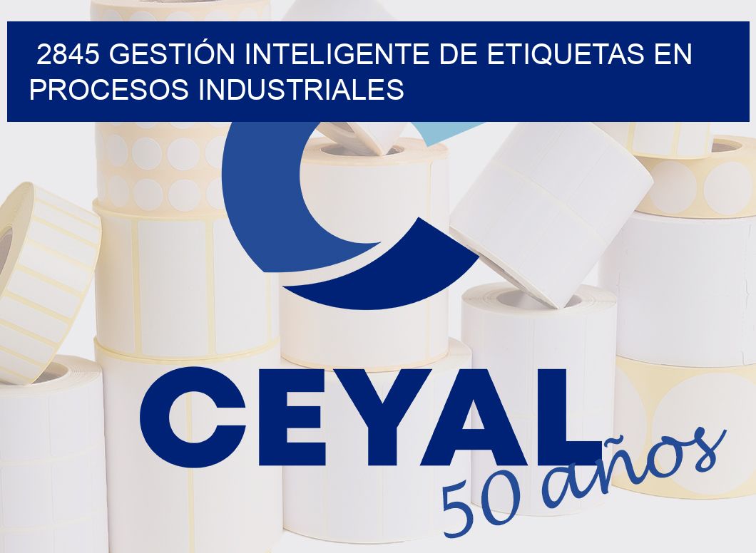 2845 GESTIÓN INTELIGENTE DE ETIQUETAS EN PROCESOS INDUSTRIALES