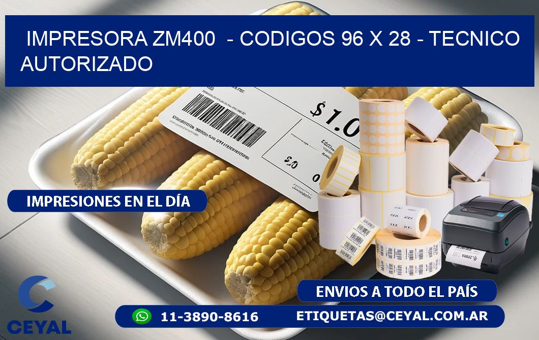 IMPRESORA ZM400  - CODIGOS 96 x 28 - TECNICO AUTORIZADO