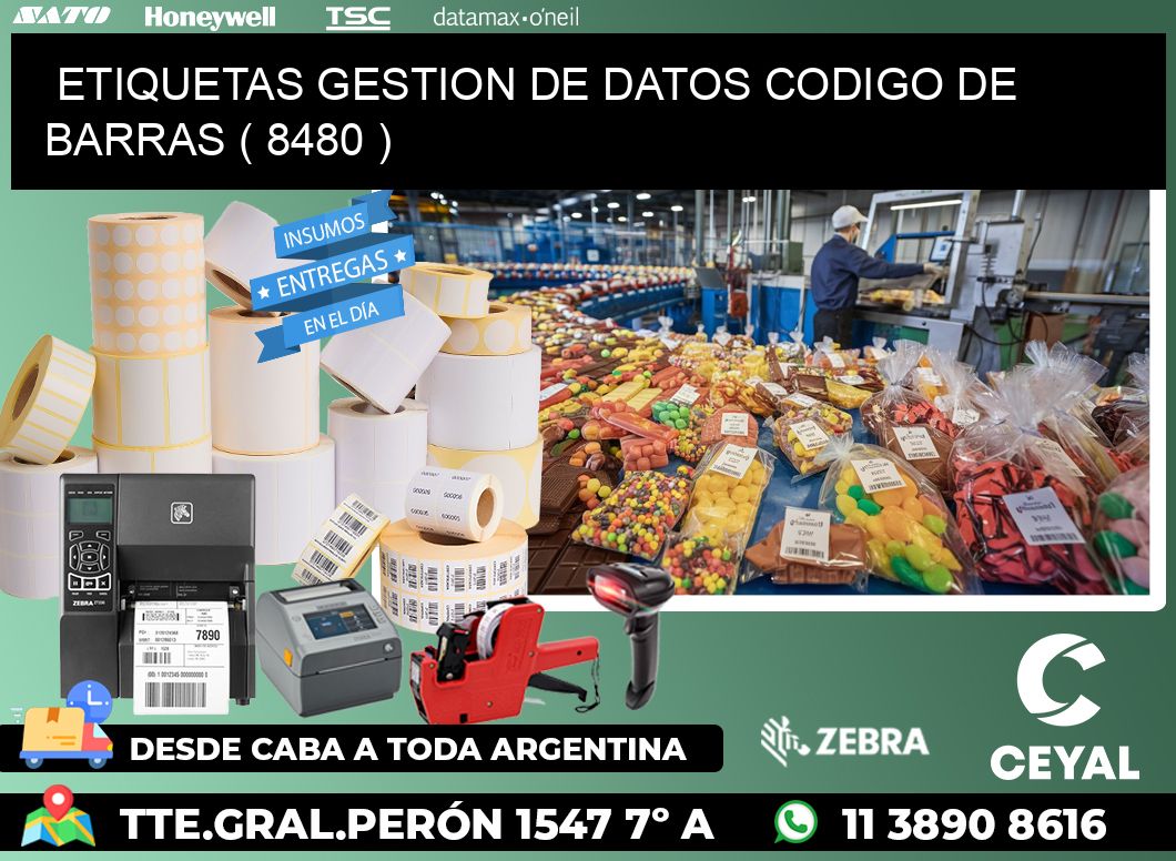 ETIQUETAS GESTION DE DATOS CODIGO DE BARRAS ( 8480 )