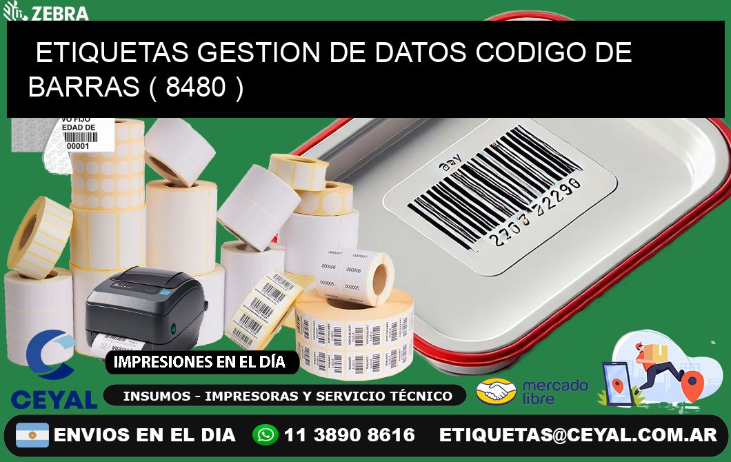 ETIQUETAS GESTION DE DATOS CODIGO DE BARRAS ( 8480 )