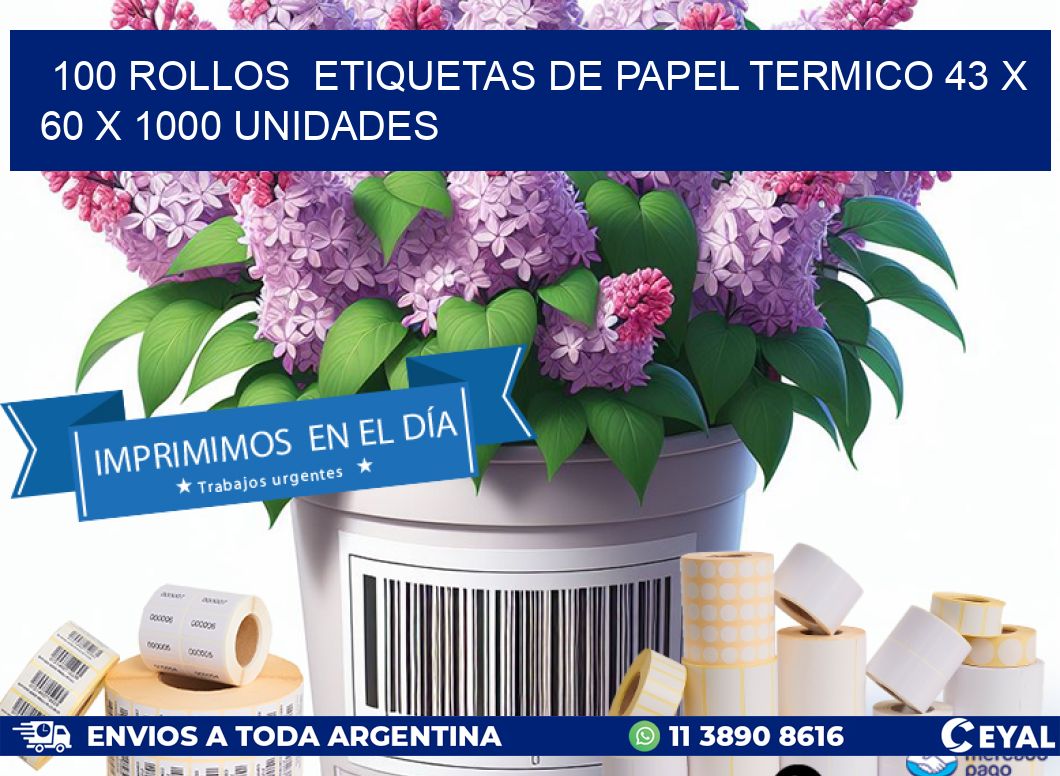 100 ROLLOS  ETIQUETAS DE PAPEL TERMICO 43 x 60 X 1000 UNIDADES