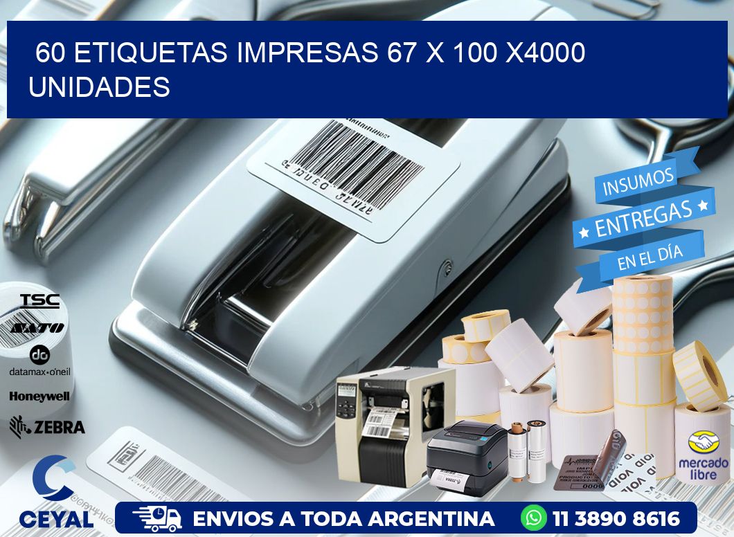 60 ETIQUETAS IMPRESAS 67 x 100 X4000 UNIDADES