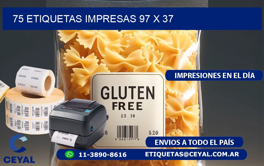 75 ETIQUETAS IMPRESAS 97 x 37