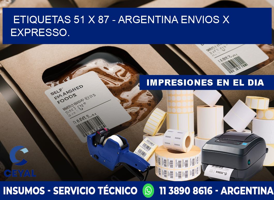 ETIQUETAS 51 x 87 - ARGENTINA ENVIOS X EXPRESSO.