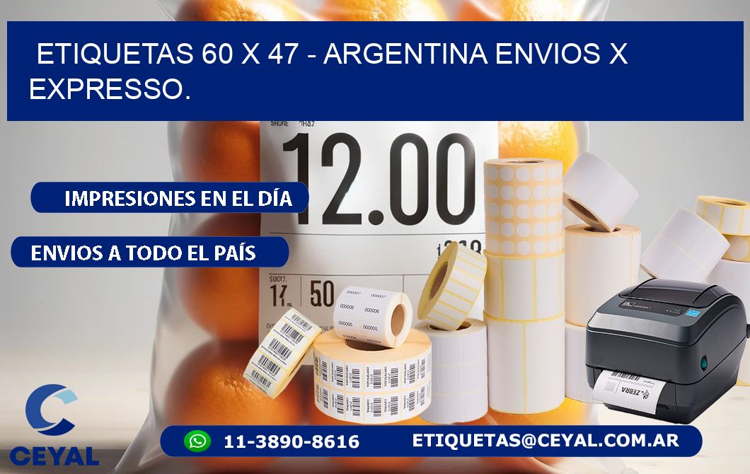 ETIQUETAS 60 x 47 - ARGENTINA ENVIOS X EXPRESSO.